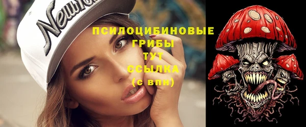 сатива Алзамай