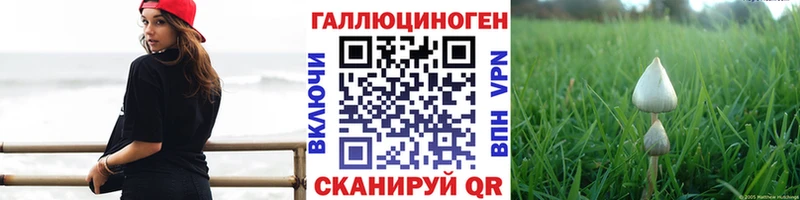 где купить   Темрюк  Псилоцибиновые грибы мухоморы 